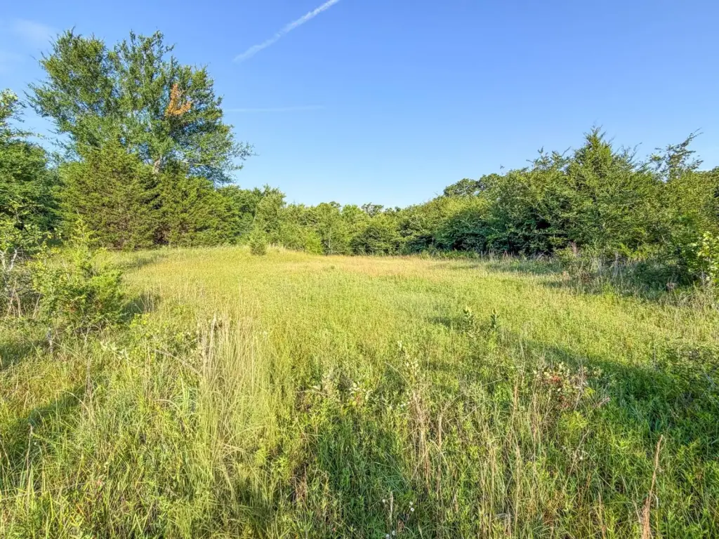 Picture 22