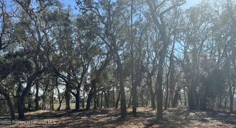 Picture of Land at Eric St 8362, Spring Hill, FL