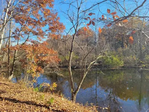 Private Peninsula Land Opportunity