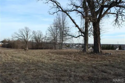 Cleared Commercial Development Site