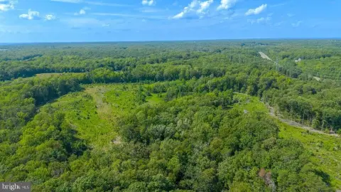 Hunting Land With Road Frontage