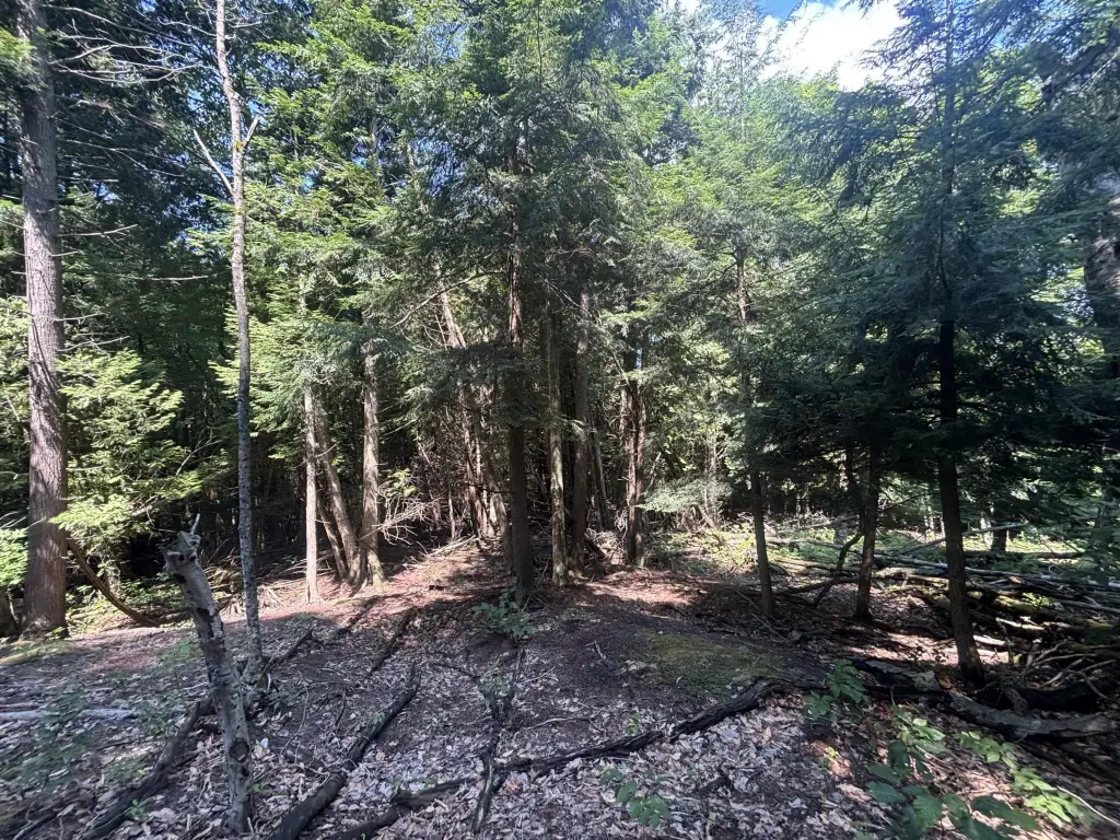 Picture 27