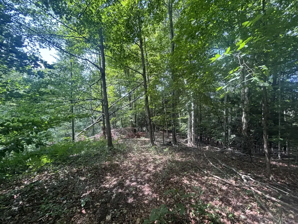 Picture 16