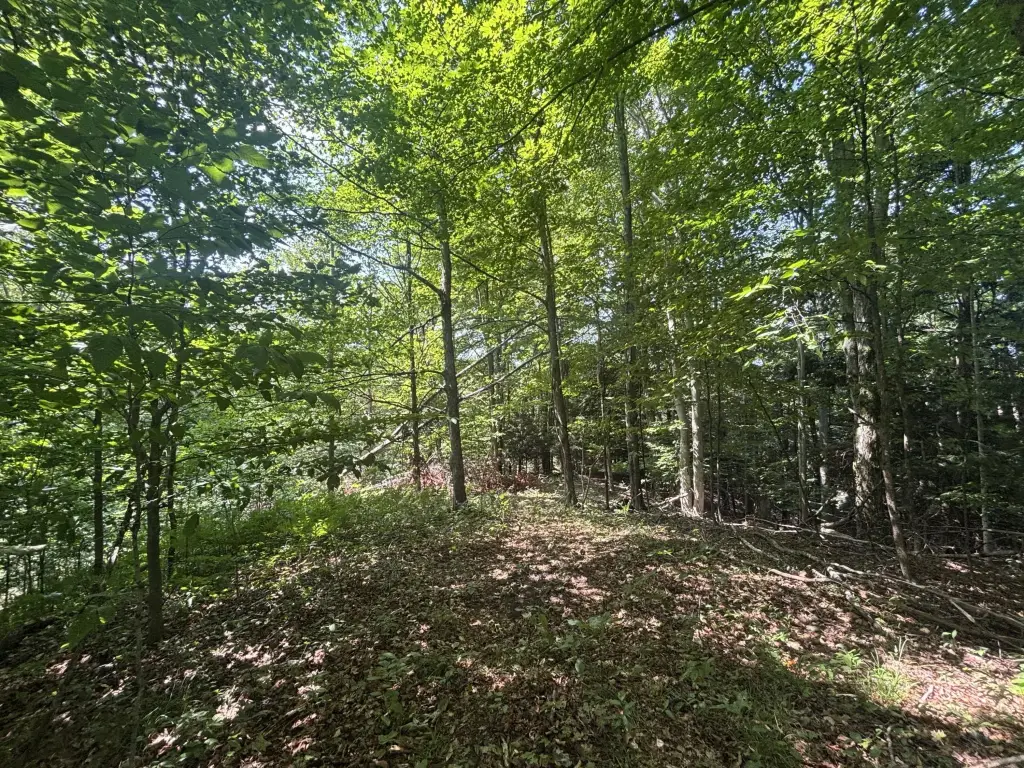 Picture 23