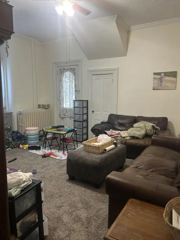 Picture 17