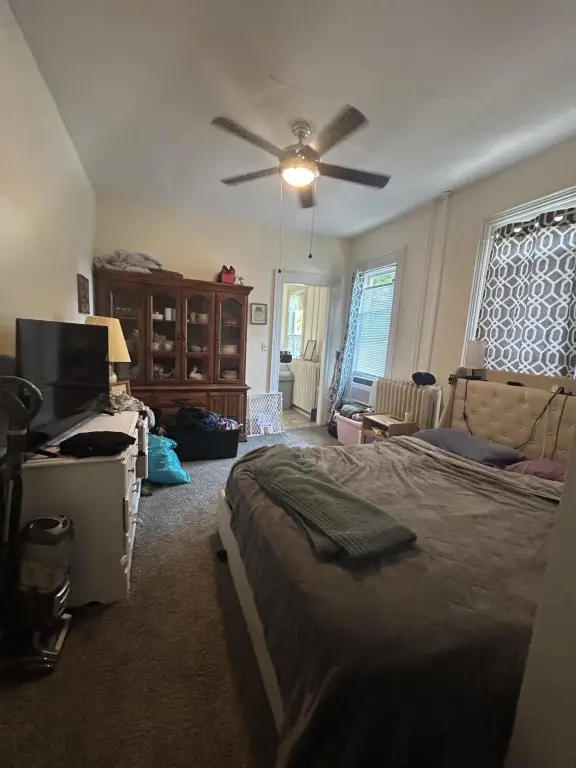 Picture 15