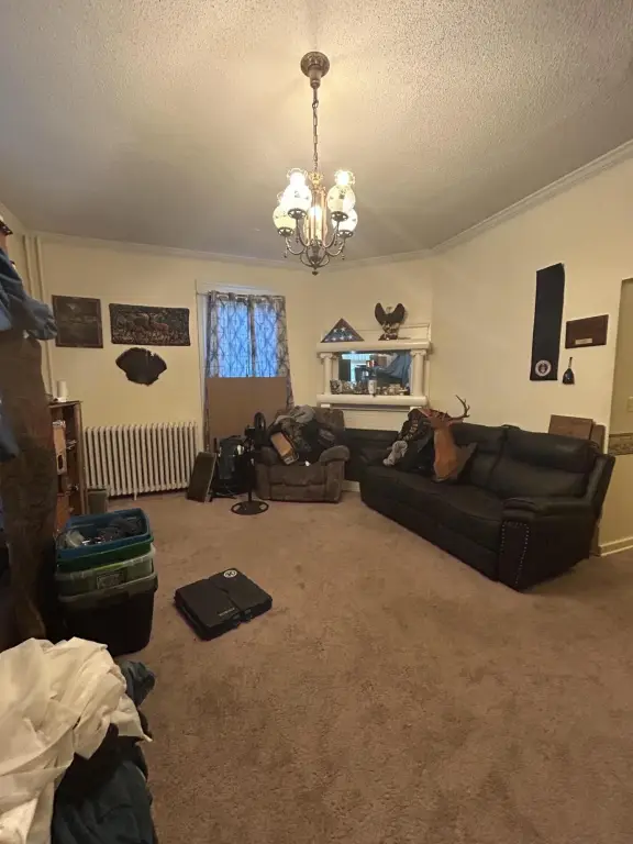 Picture 31