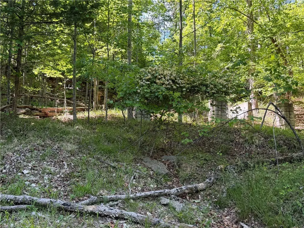 Picture 13