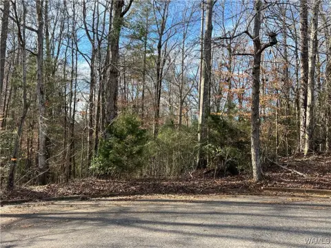 Residential Lot in Hillsdale