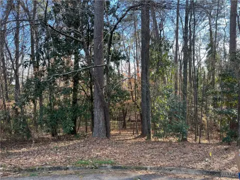 Land For Sale Tuscaloosa