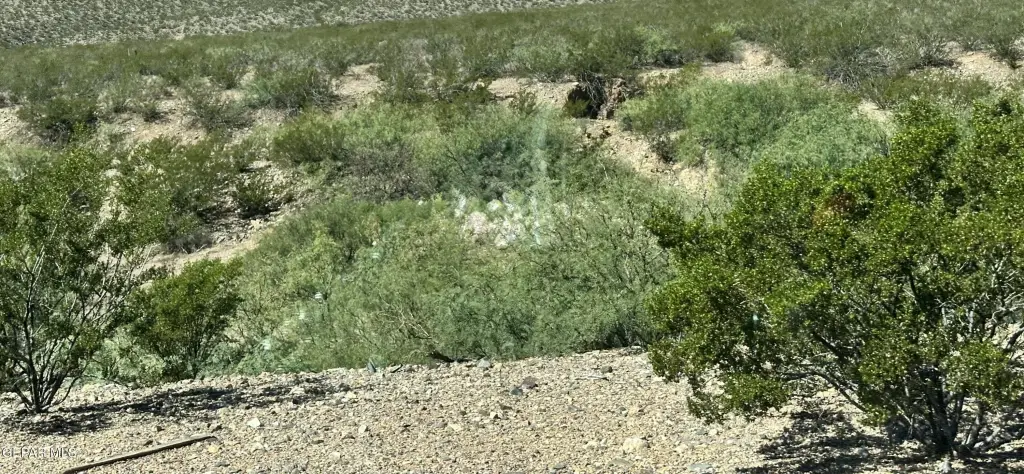 Picture 4