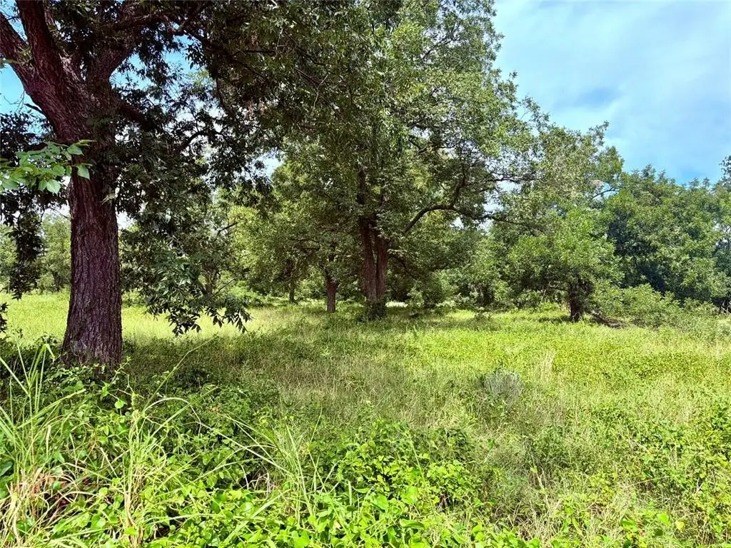 Picture 48