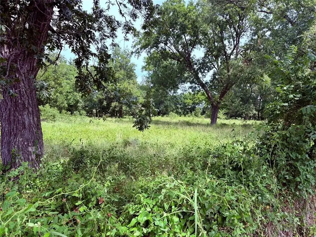 Picture 47