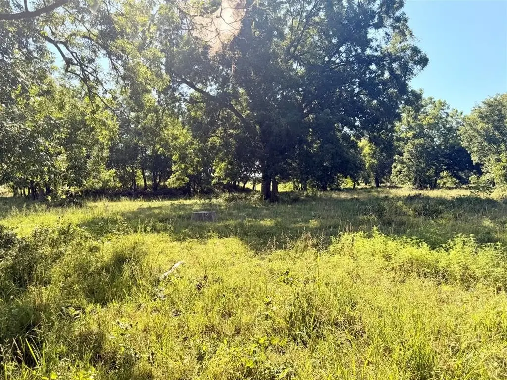 Picture 30