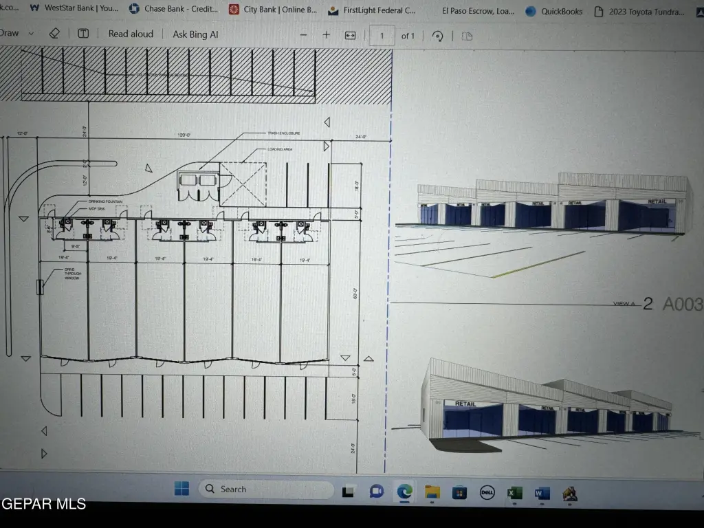 Picture 5