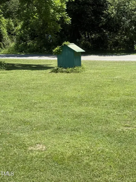 Picture 12