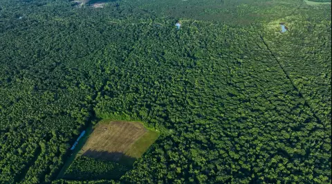 Land with Big Black River Frontage