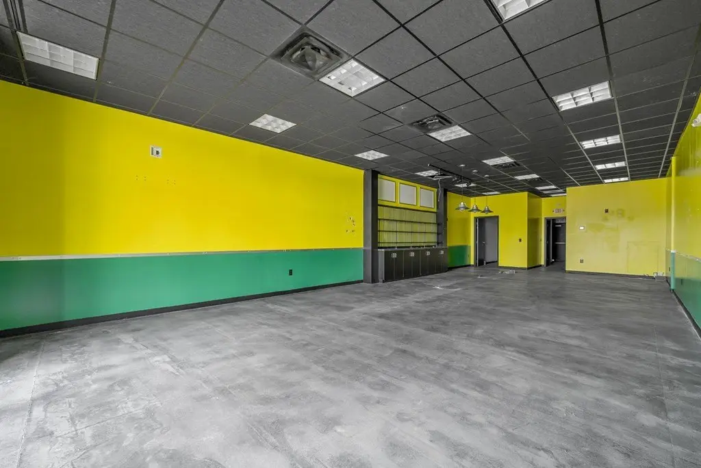 Picture 5
