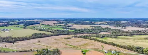 76.64 Acres Farm in Elkton