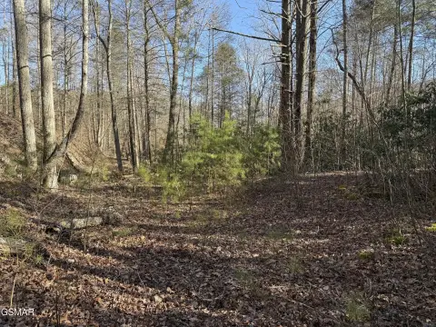 Cosby, TN Land with Creek