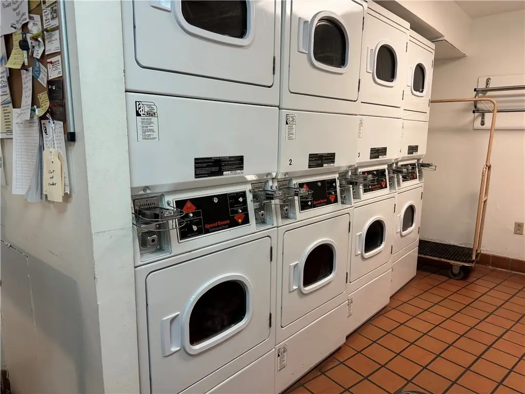 Picture 23