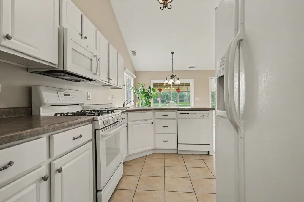 Picture 15