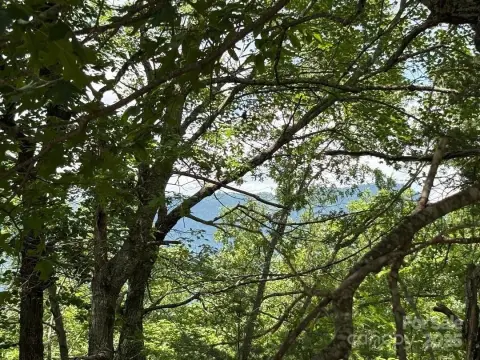 Land with Mountain Views