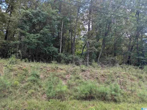 Anniston Vacant Lot For Sale
