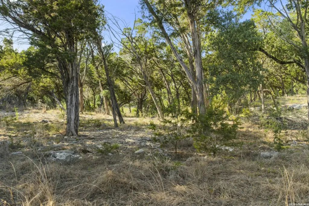 Picture 24