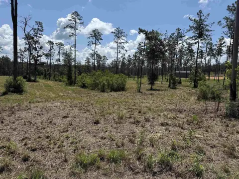 Lake Sam Rayburn Acreage Opportunity