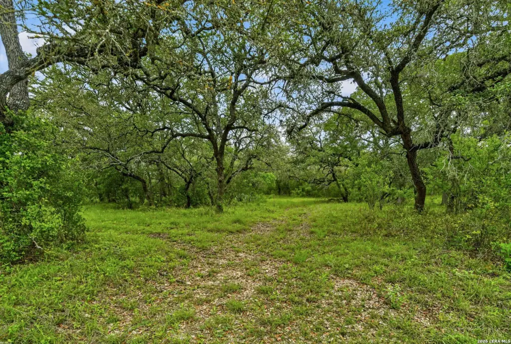 Picture 50