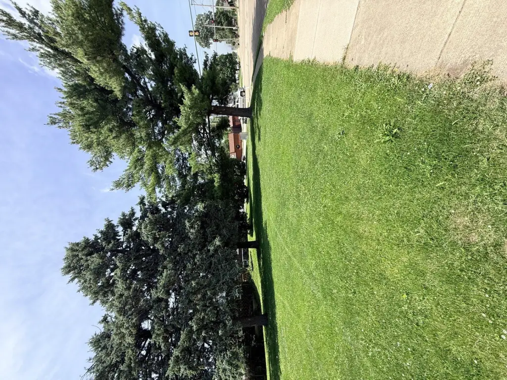 Picture 3
