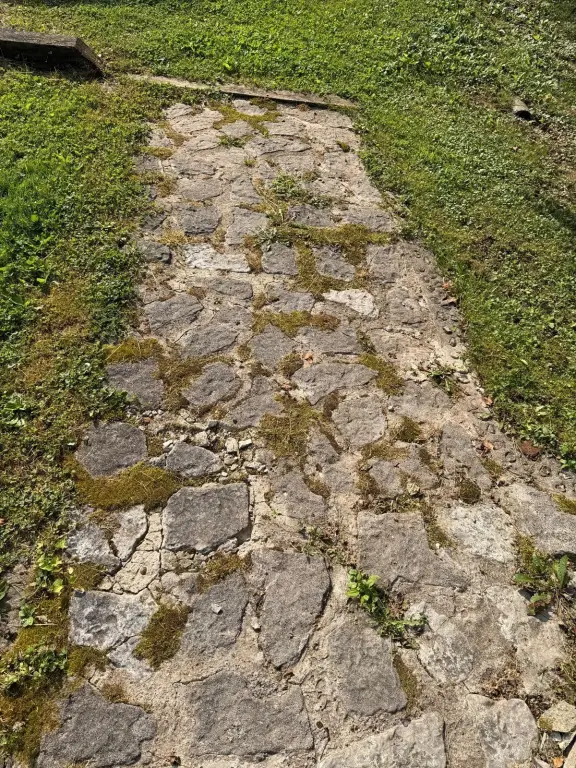 Picture 49