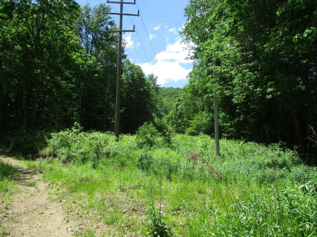 Picture 19