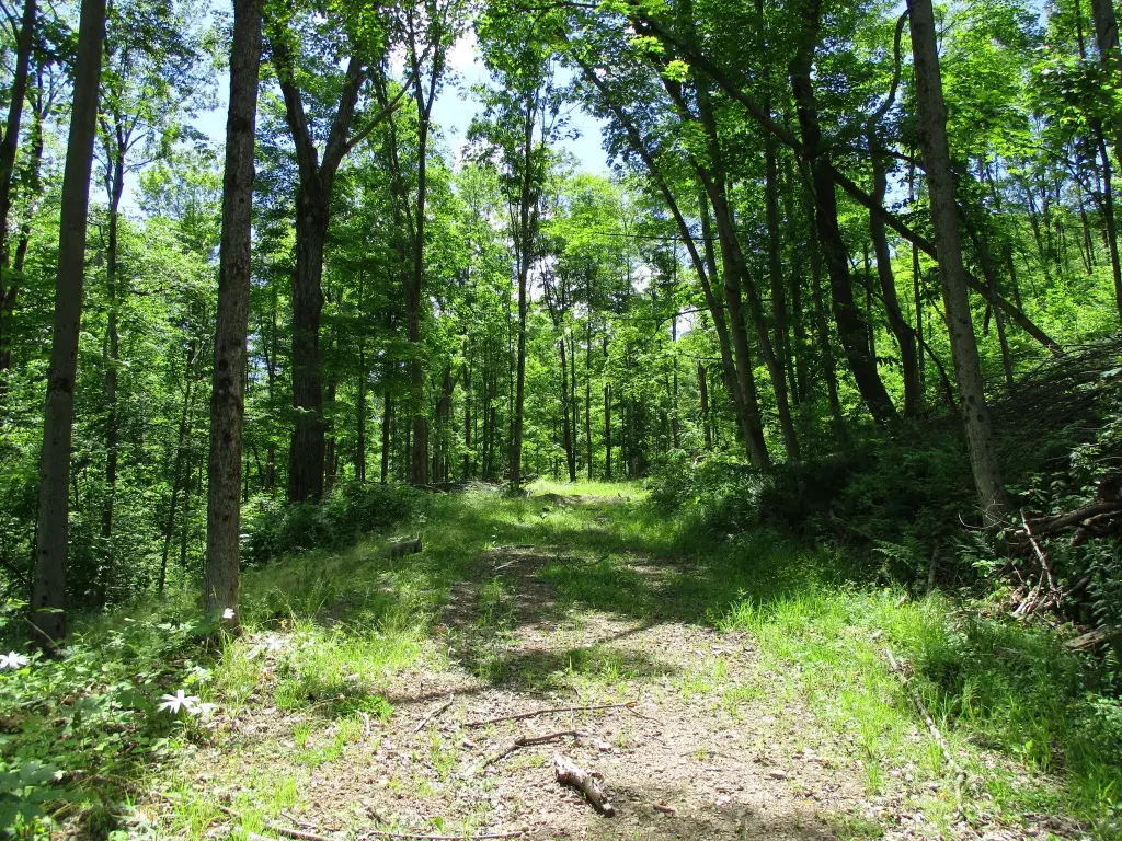 Picture 6