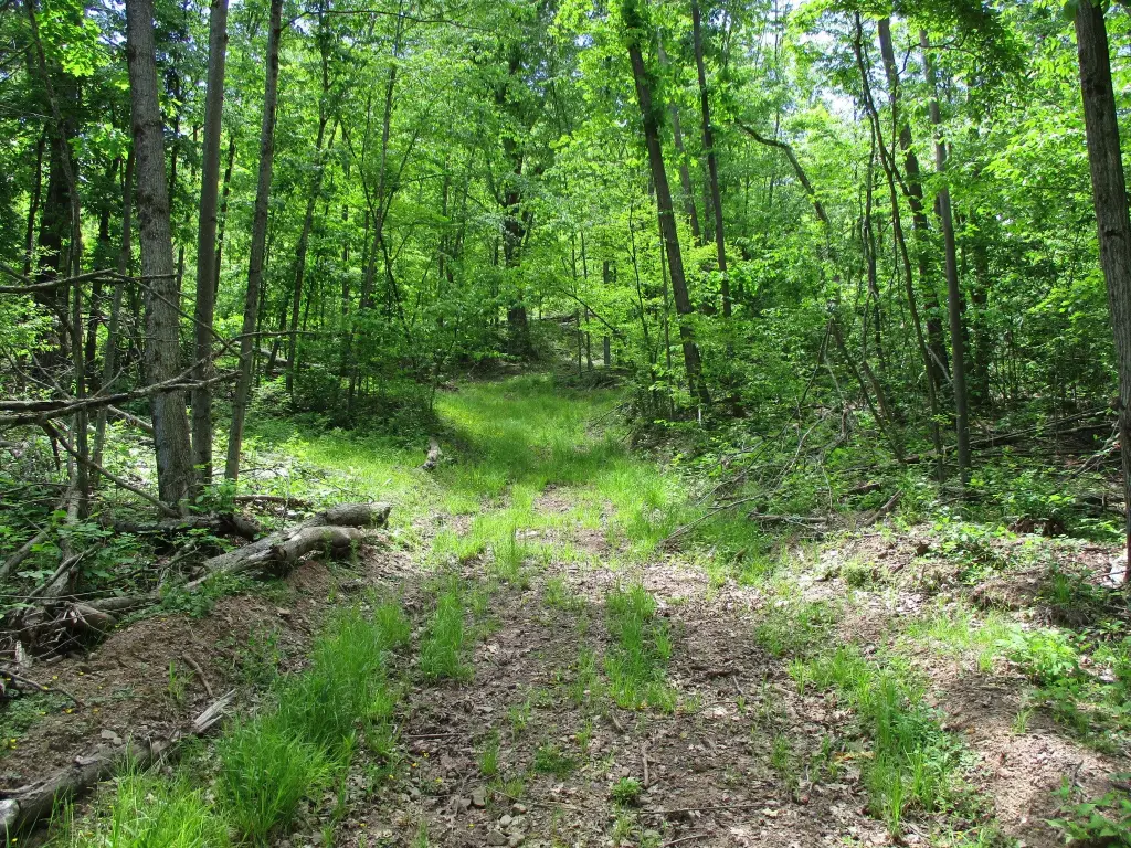 Picture 8