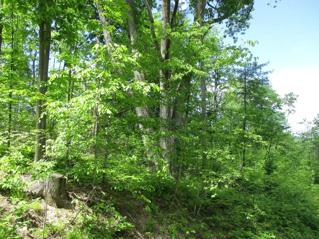 Picture 11