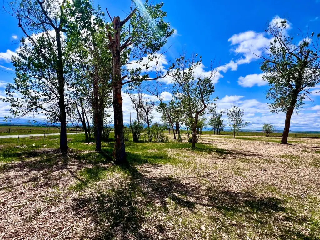 Picture 45