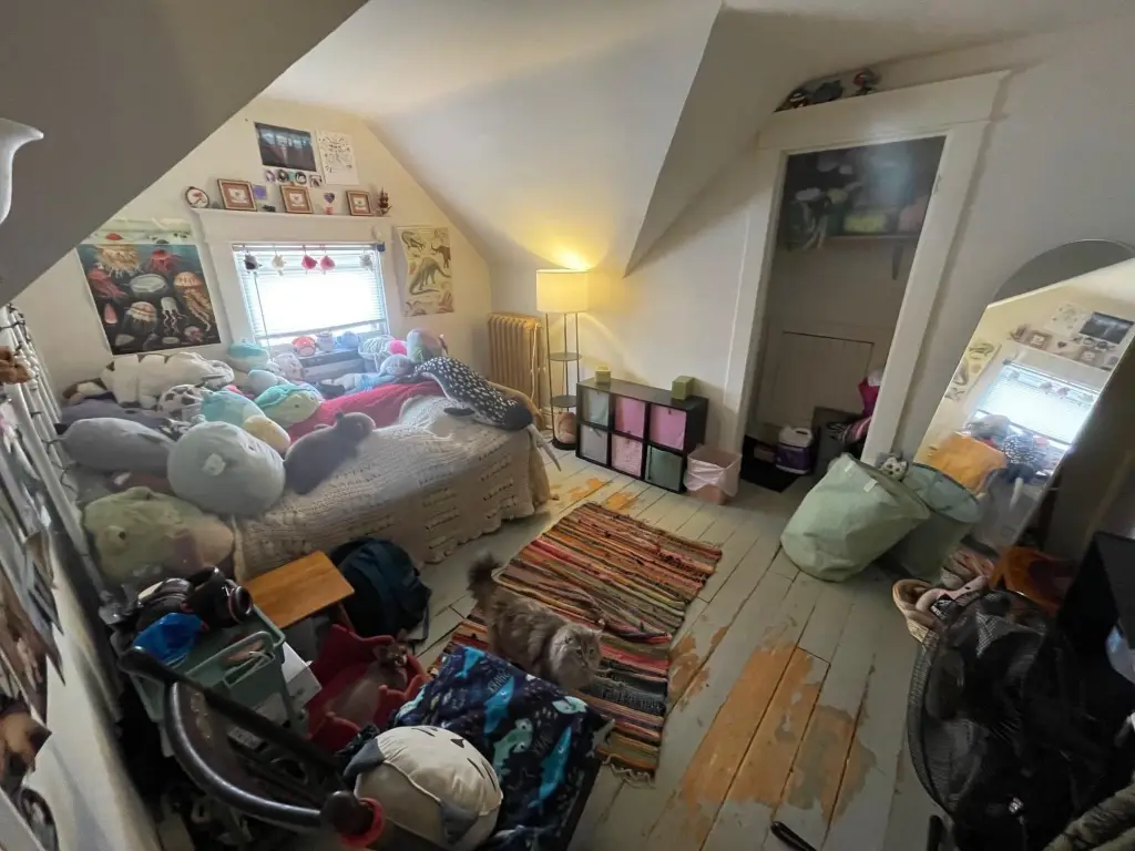 Picture 16