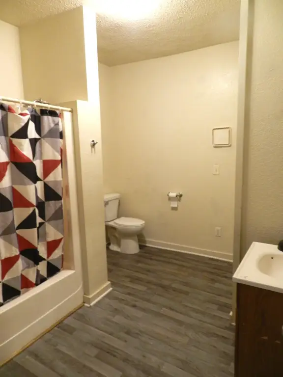 Picture 7