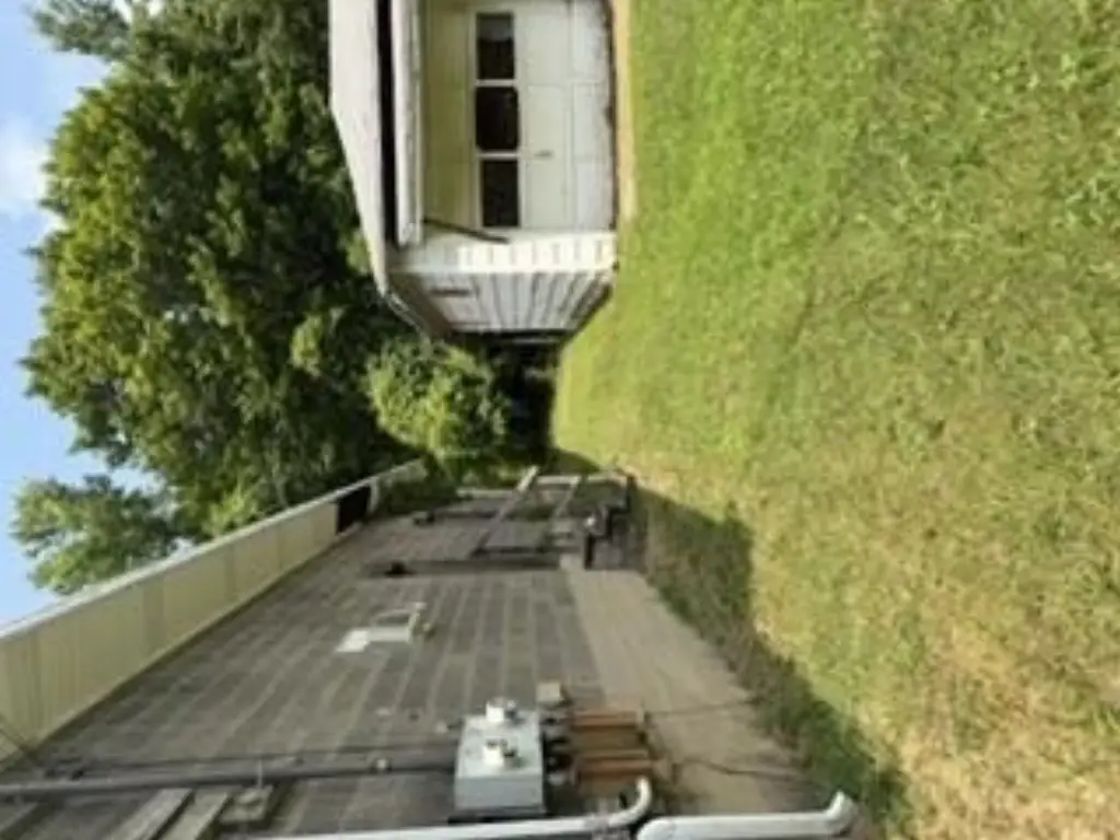 Picture 14