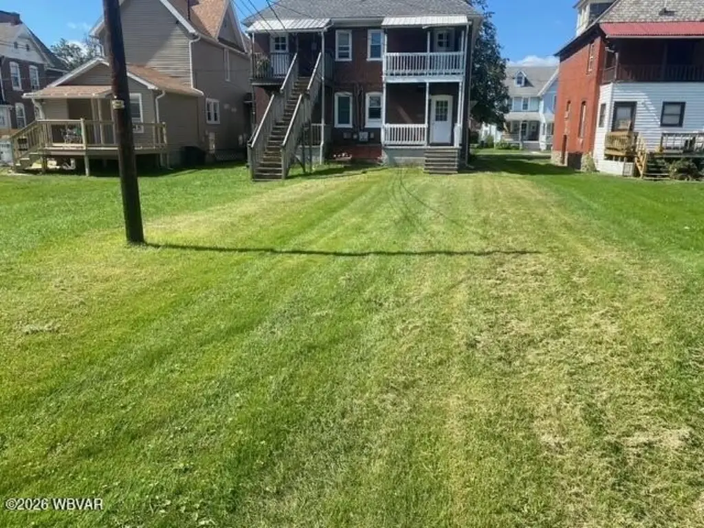 Picture 3