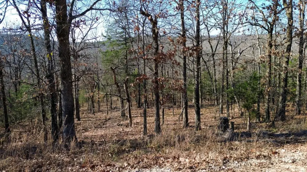 Picture 13