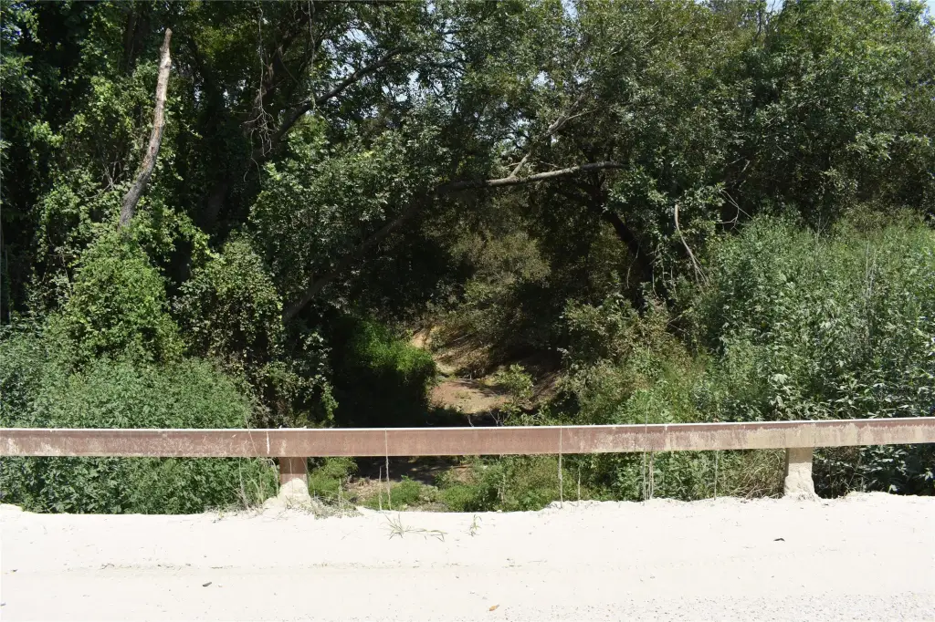 Picture 11
