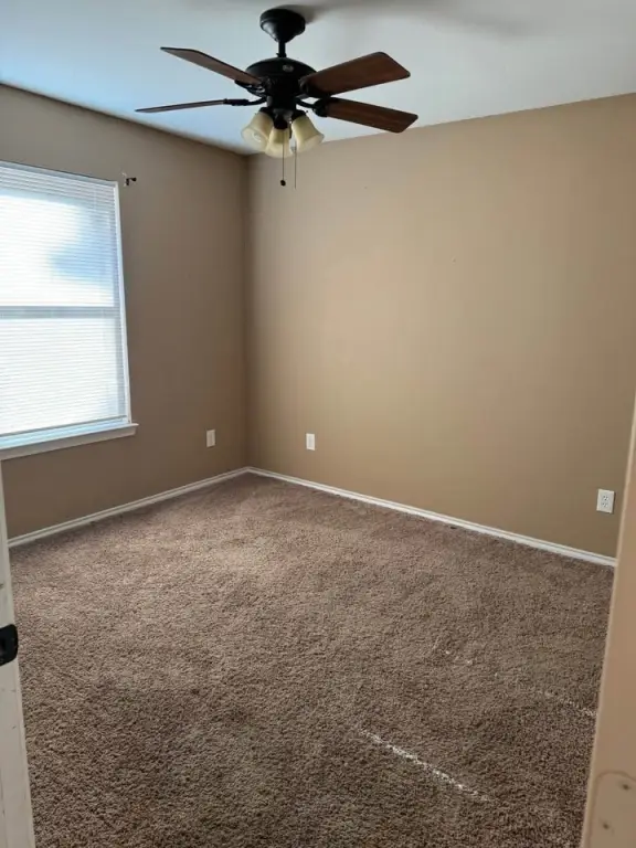 Picture 25