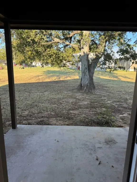 Picture 19
