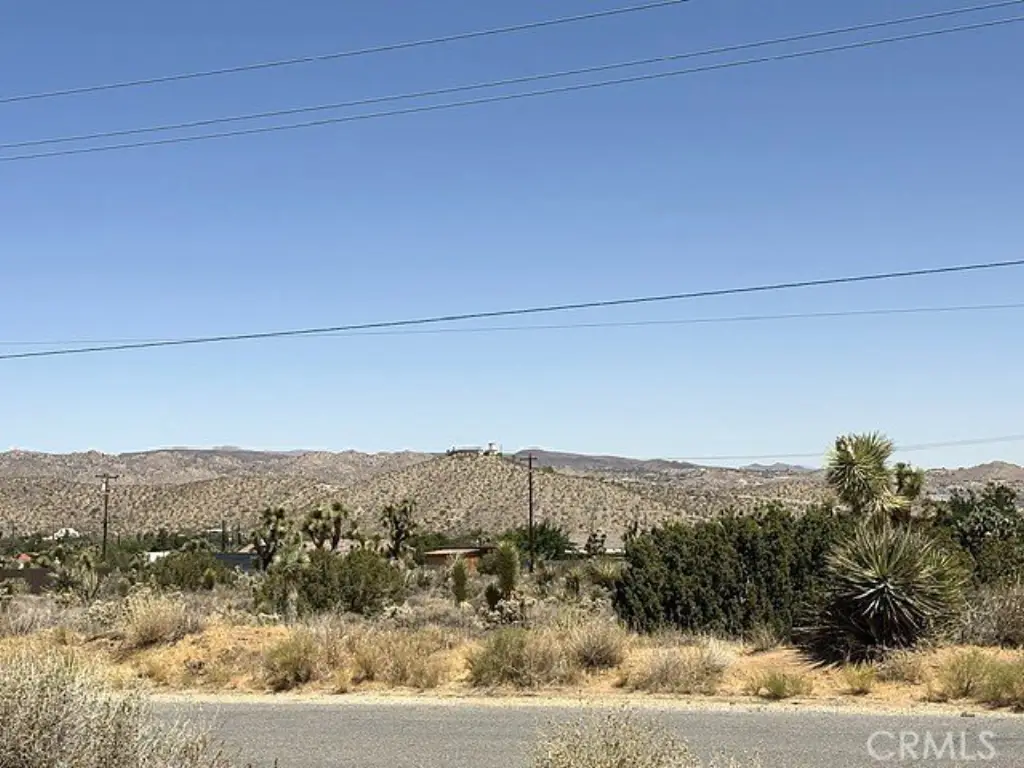 Picture 10