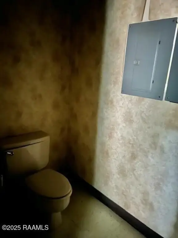 Picture 14
