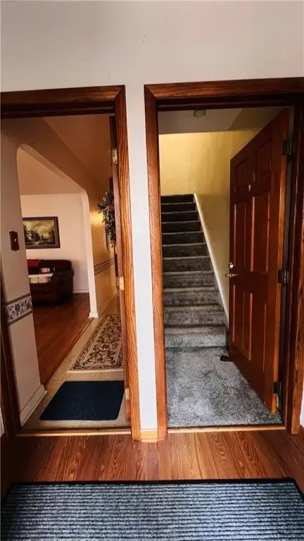 Picture 19