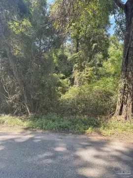 Acreage for Custom Home